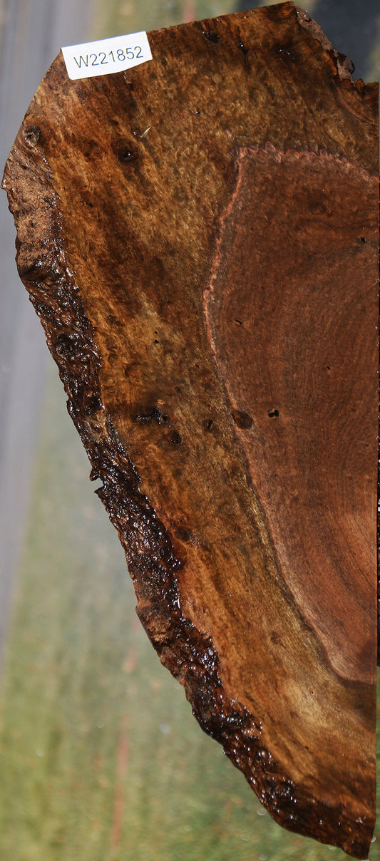 Extra Fancy Quilted Claro Walnut Live Edge Lumber