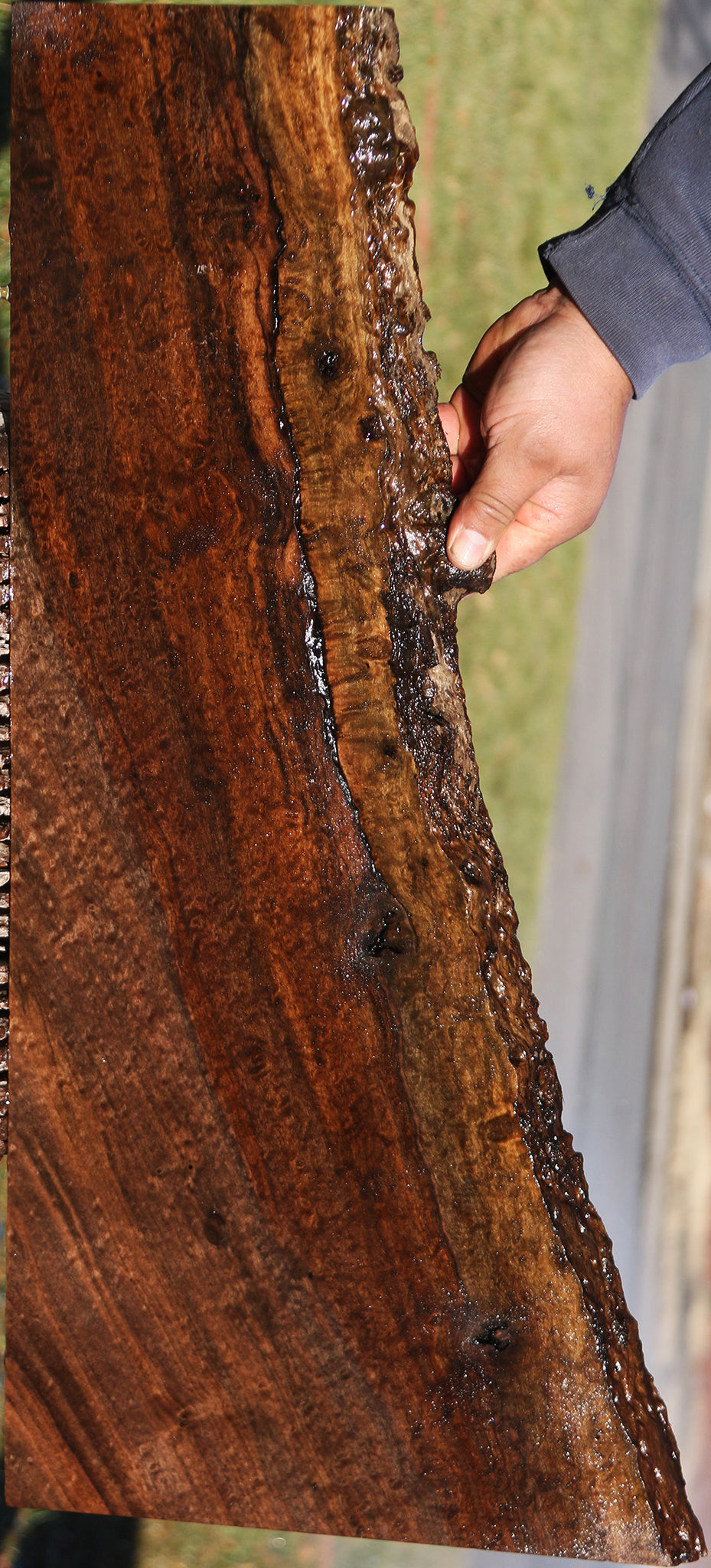 Walnut, Claro – Cook Woods