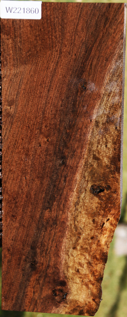 Extra Fancy Quilted Rustic Claro Walnut Lumber