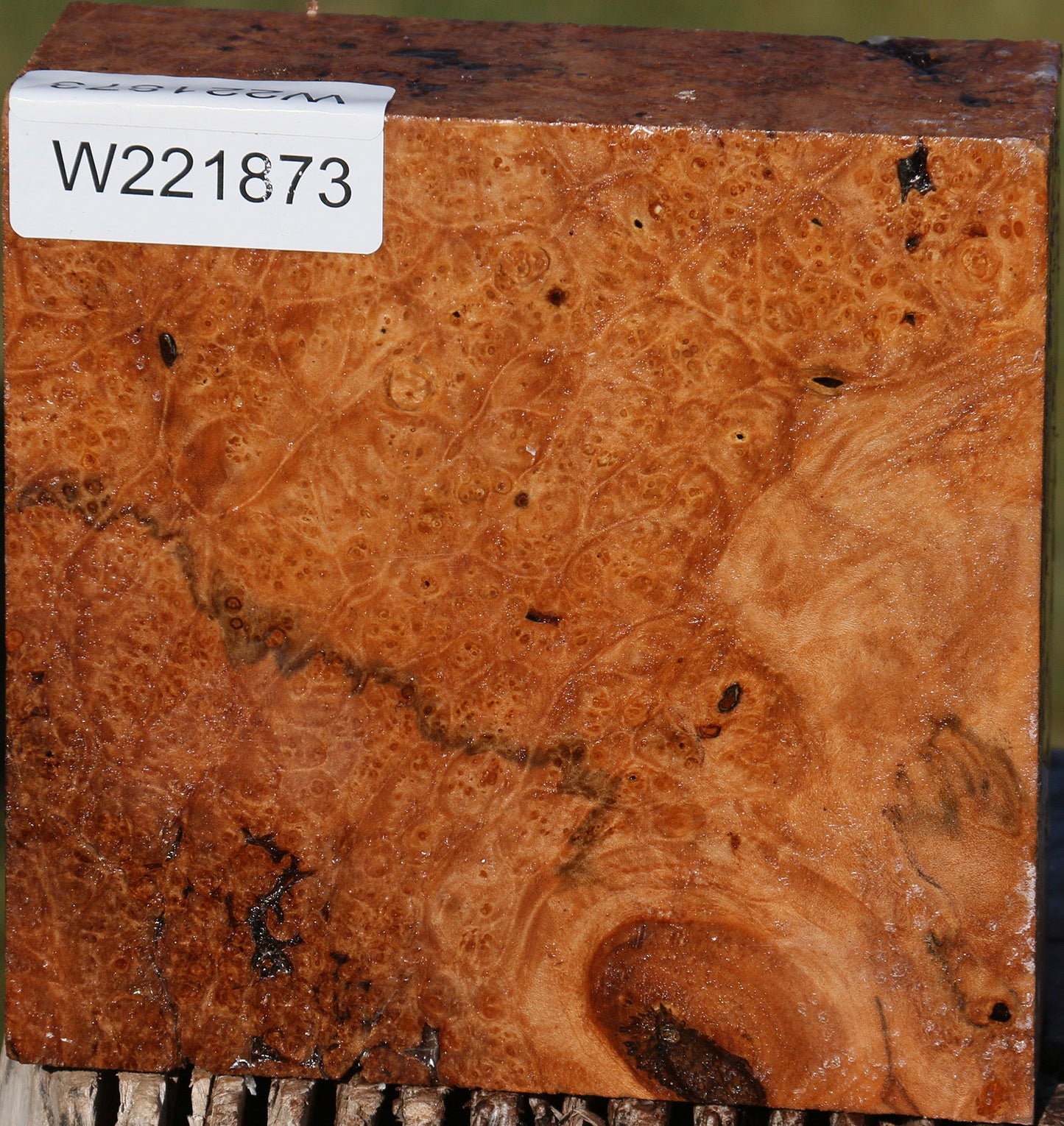 Maple Burl Bowl Blank