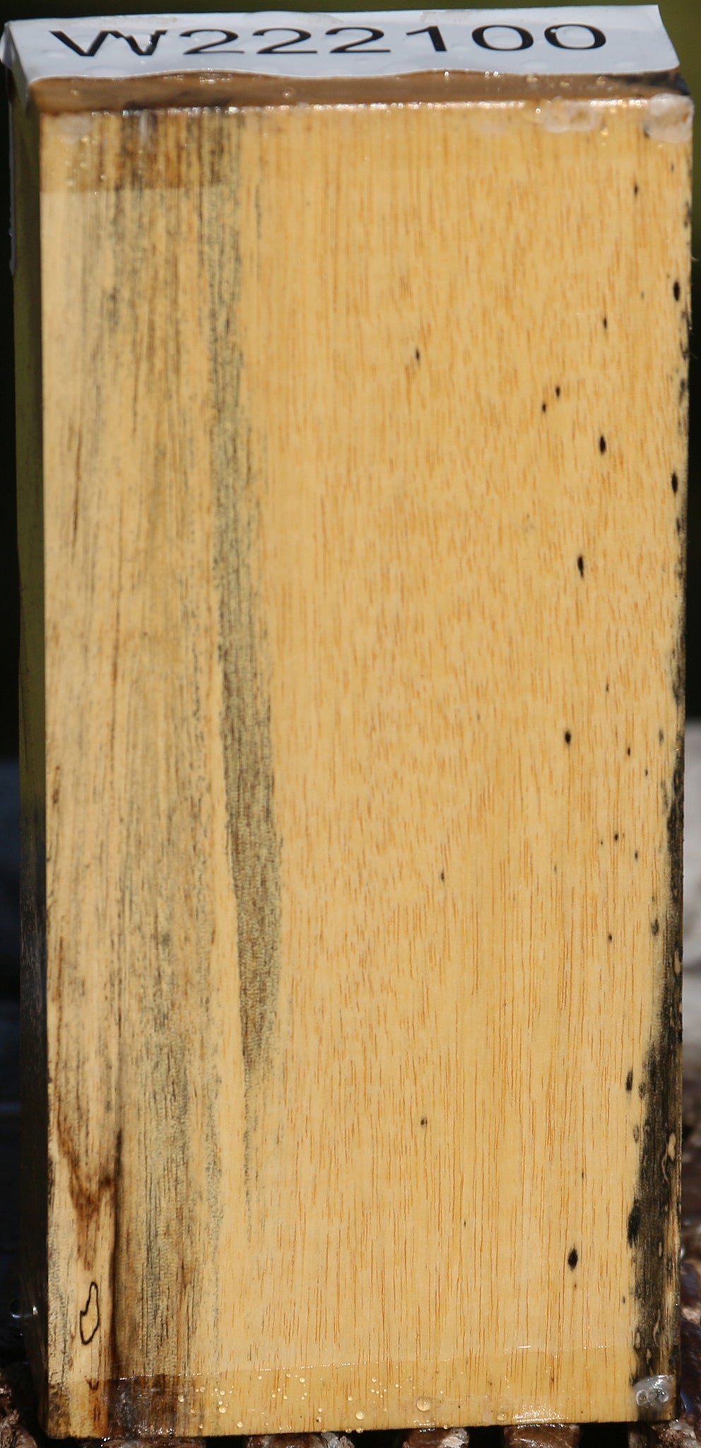 Black & White Ebony Lumber