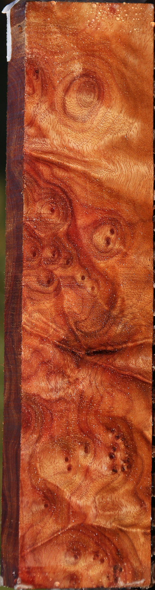 Camphor Burl Lumber