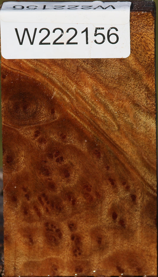 Camphor Burl Lumber
