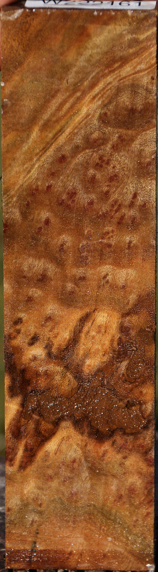 Camphor Burl Lumber