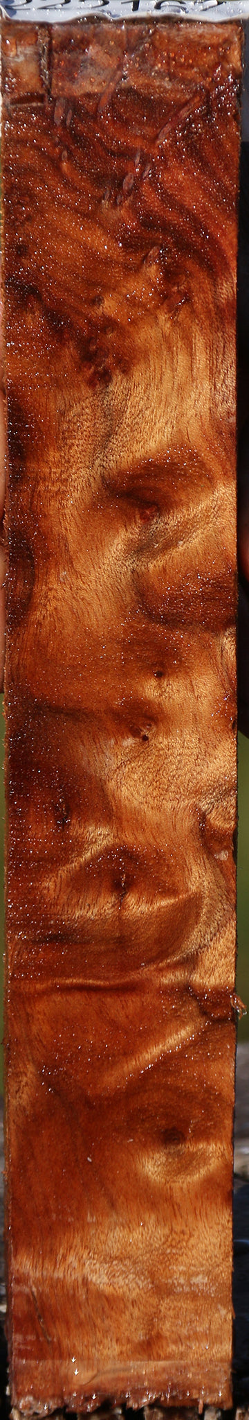 Camphor Burl Lumber