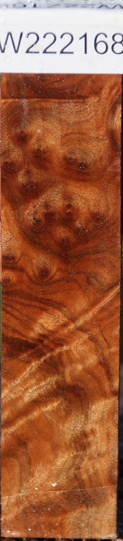 Rustic Camphor Burl Lumber