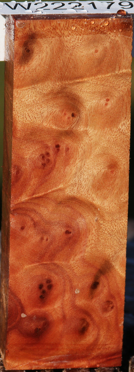 Camphor Burl Lumber