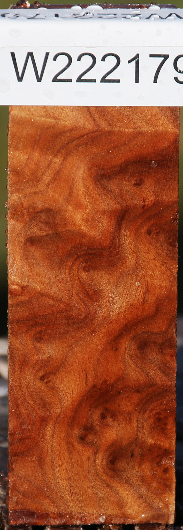 Camphor Burl Lumber