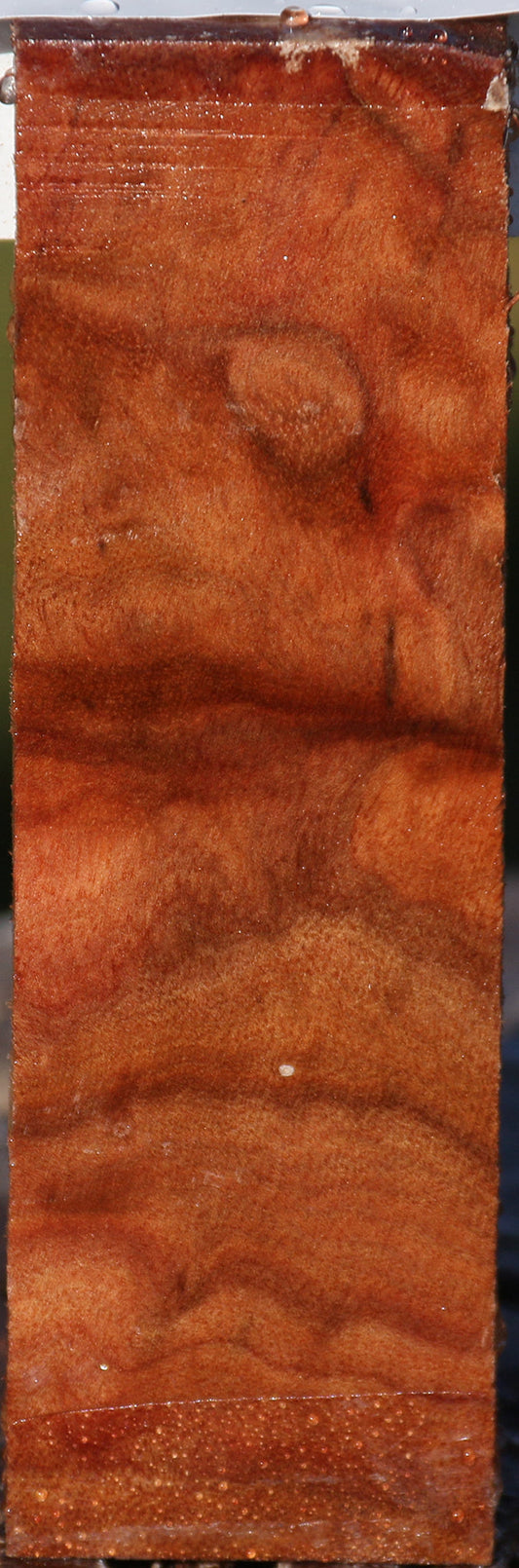 Camphor Burl Lumber