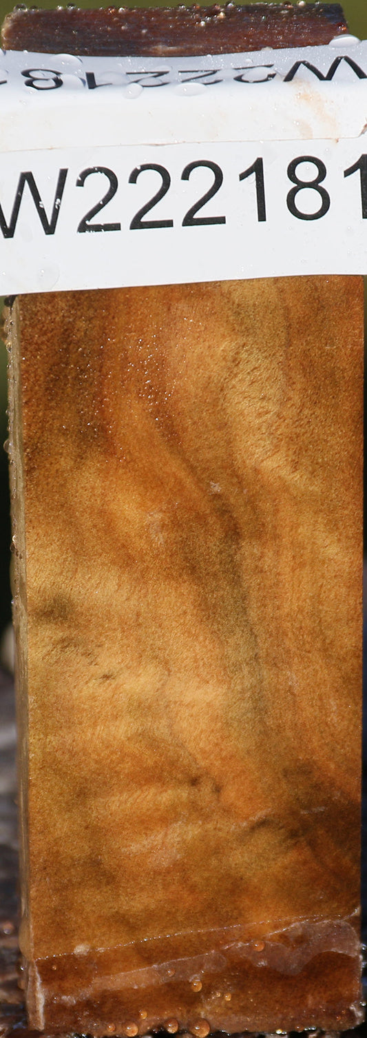 Camphor Burl Lumber