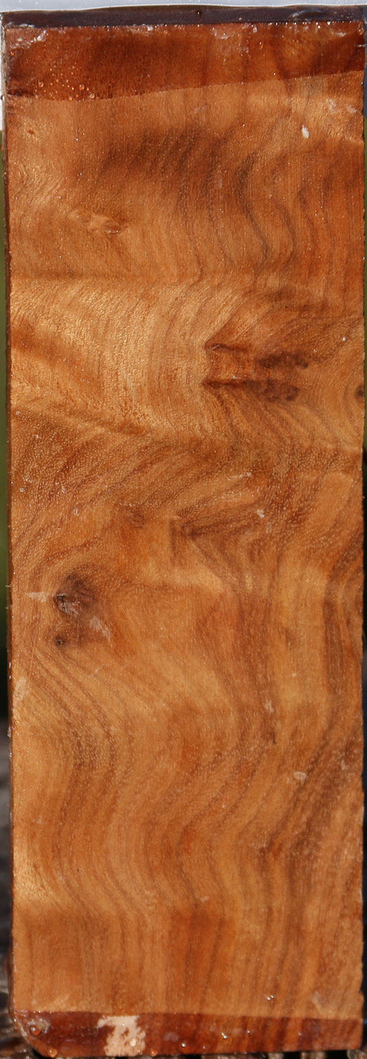 Camphor Burl Lumber
