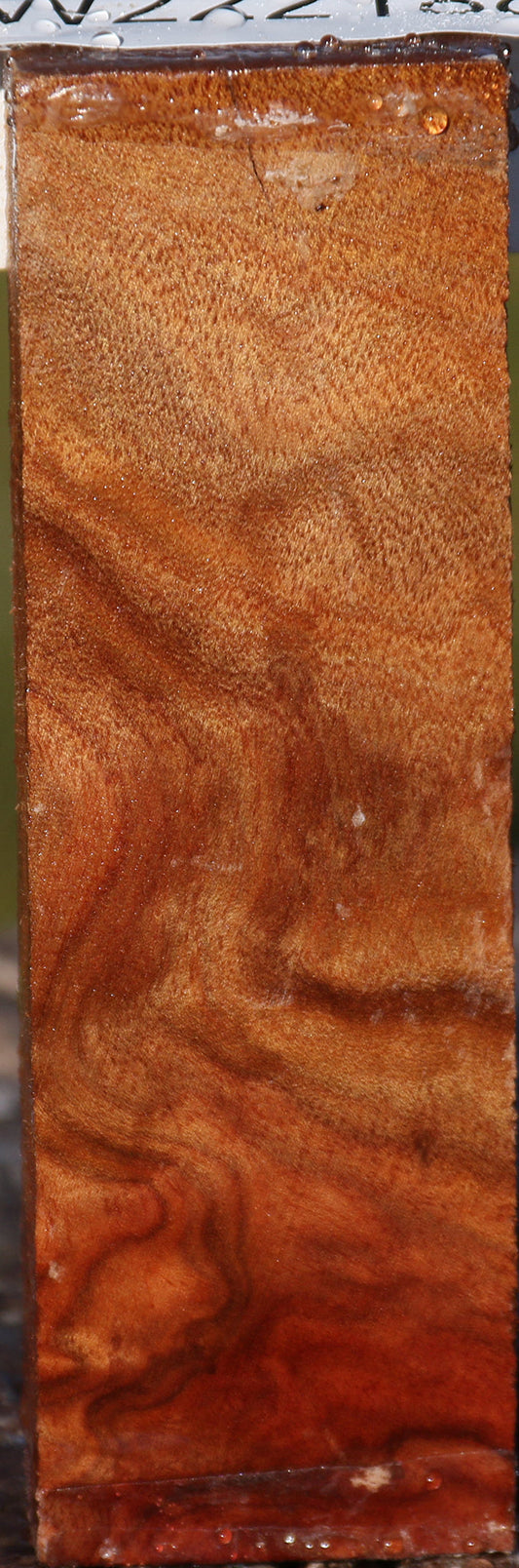 Camphor Burl Lumber