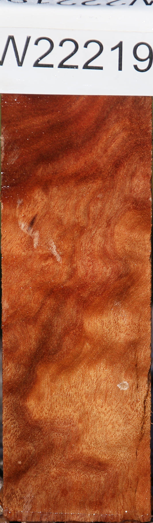 Camphor Burl Micro Lumber
