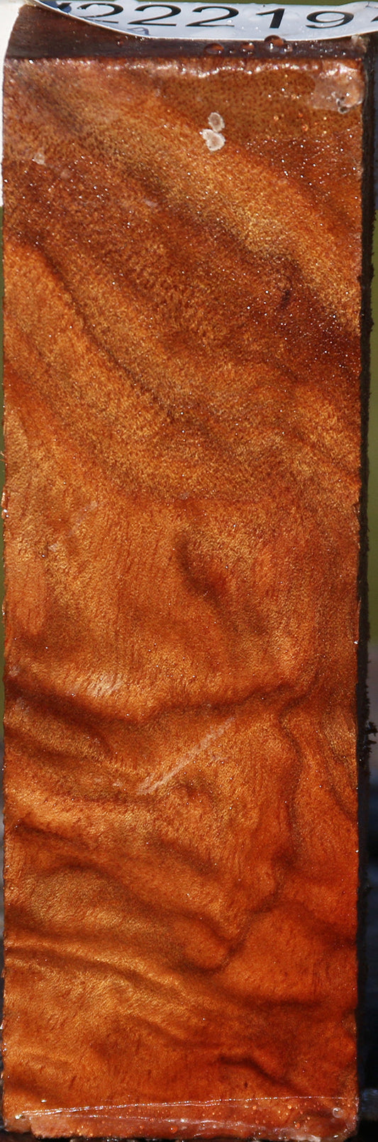 Camphor Burl Lumber