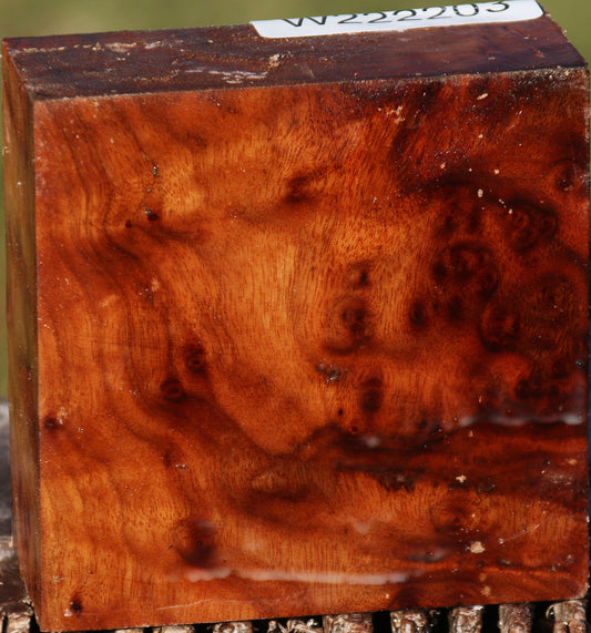 Camphor Burl Bowl Blank