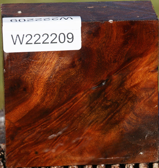 Camphor Burl Bowl Blank