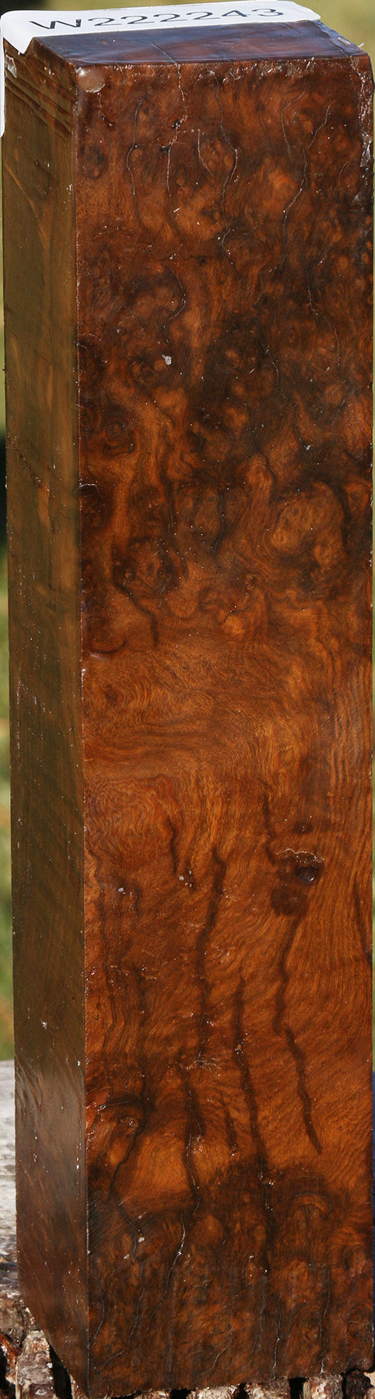 Sindora Burl Turning Square