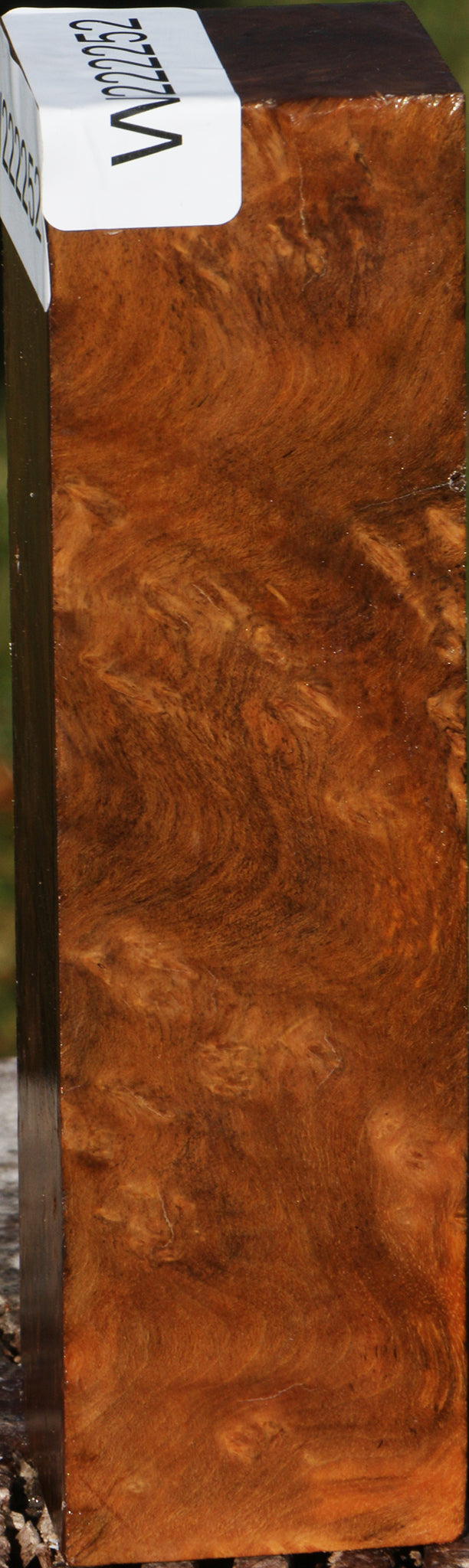 Sindora Burl Turning Square