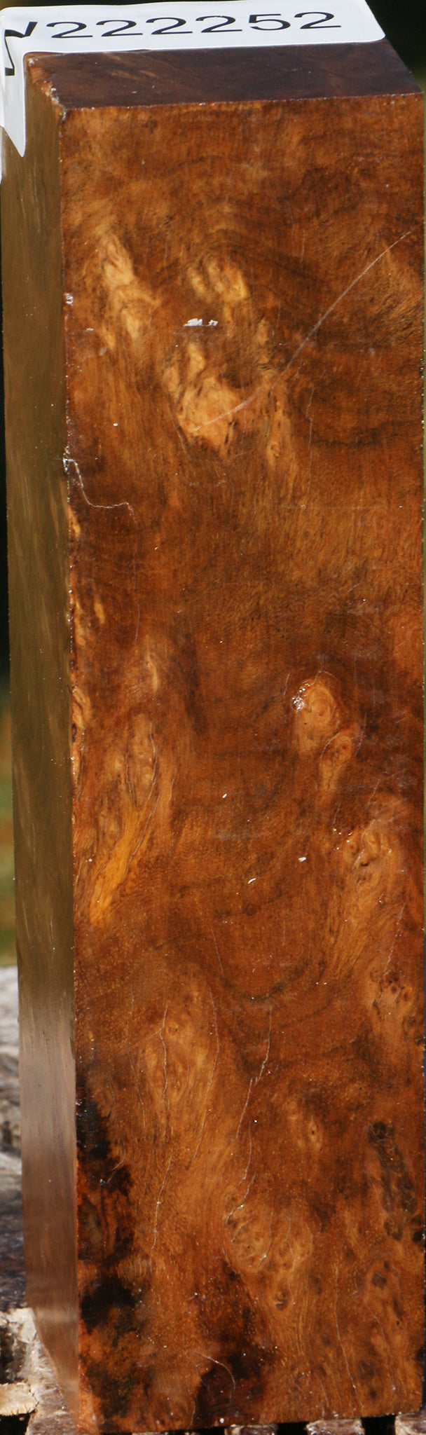 Sindora Burl Turning Square