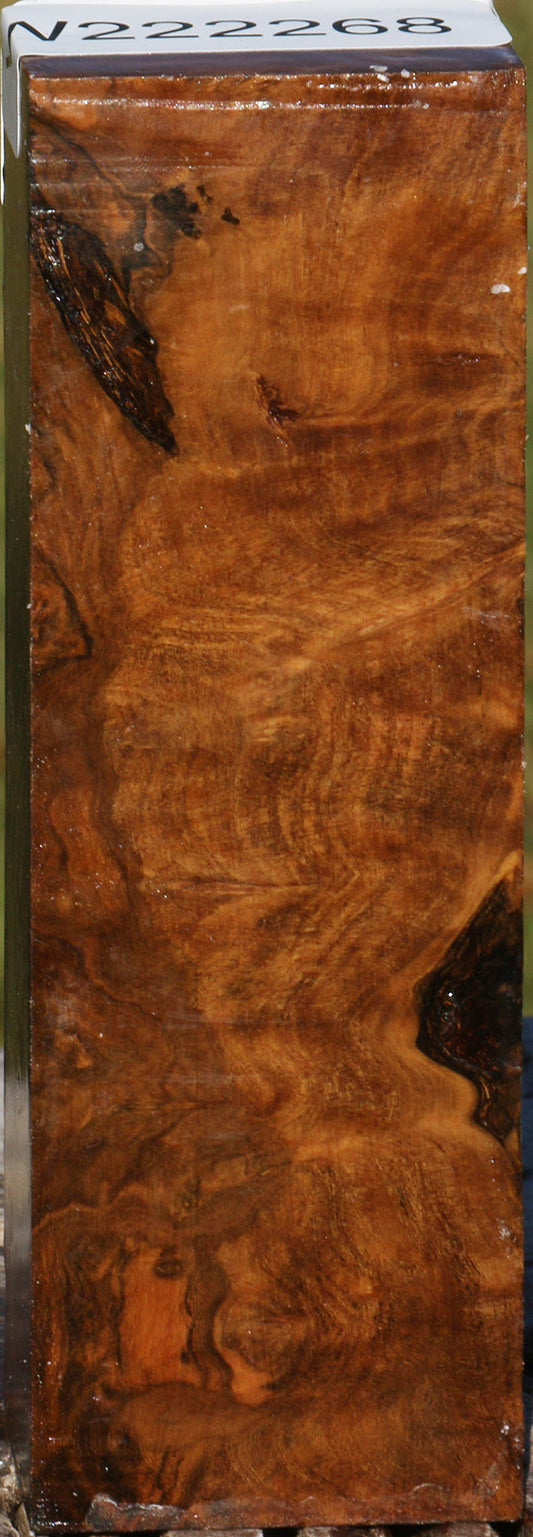 Sindora Burl Turning Blank