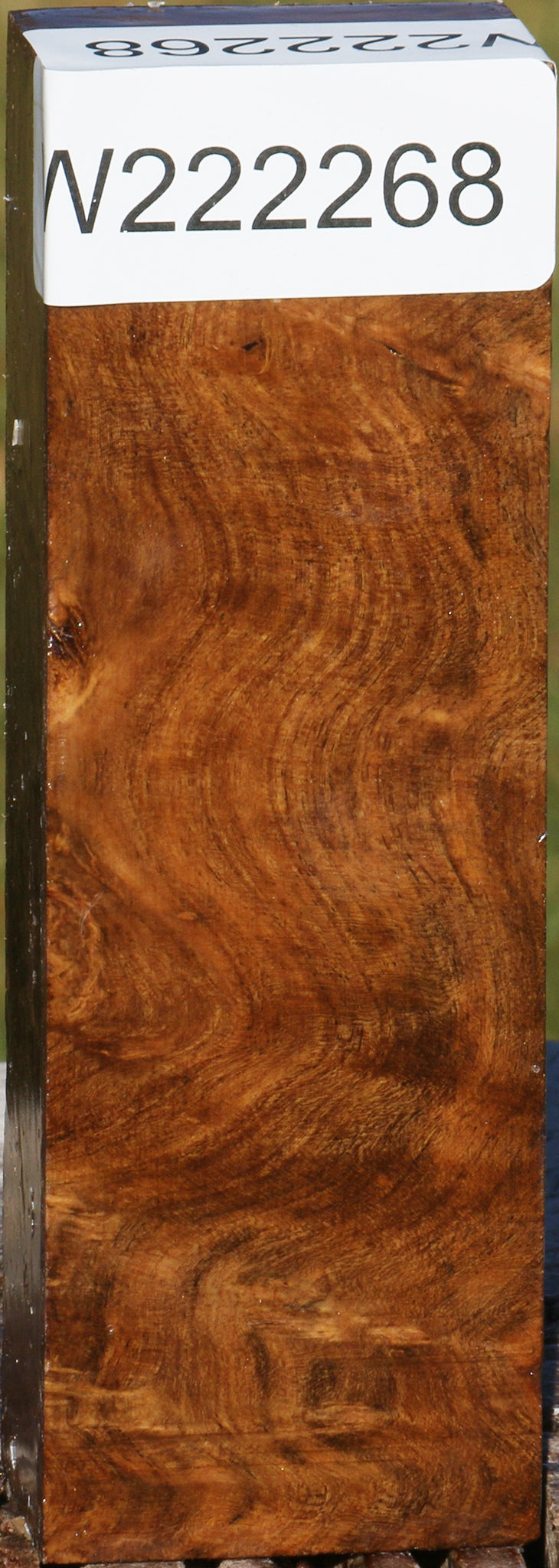 Sindora Burl Turning Blank
