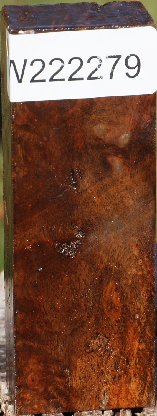 Sindora Burl Turning Blank