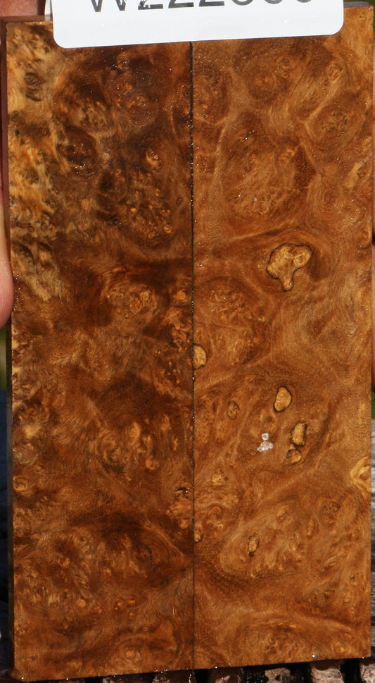 Sindora Burl Knife Scales