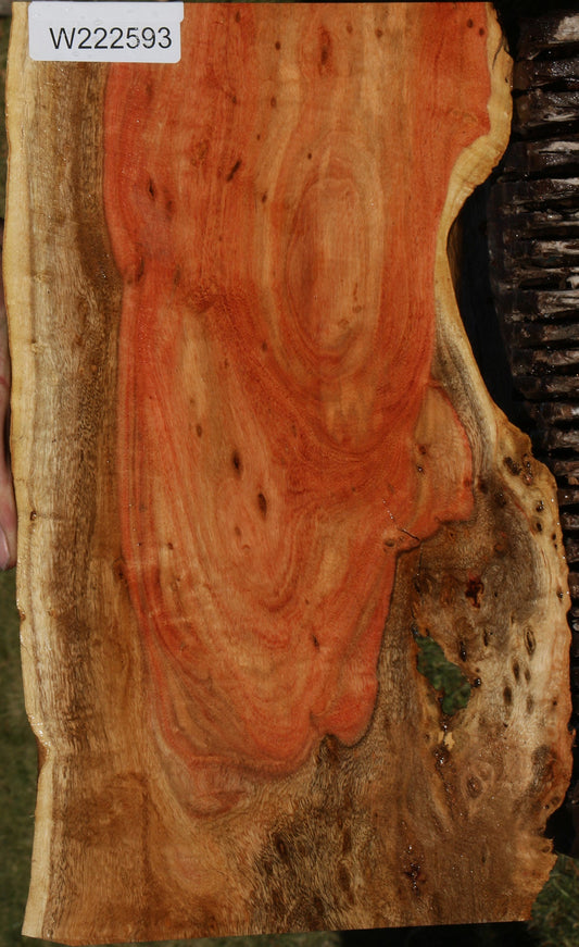 Extra Fancy Carob Micro Lumber