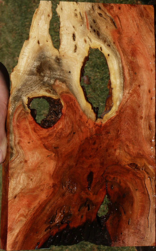 Extra Fancy Carob Live Edge Lumber