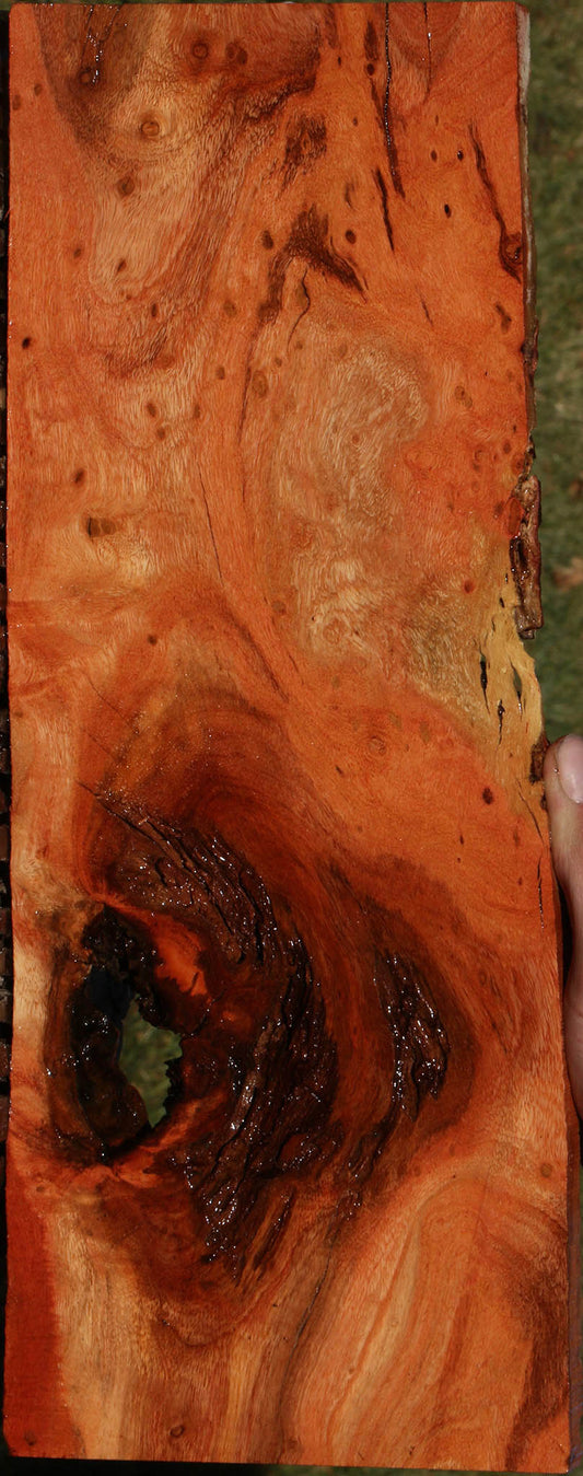 Extra Fancy Rustic Carob Live Edge Lumber