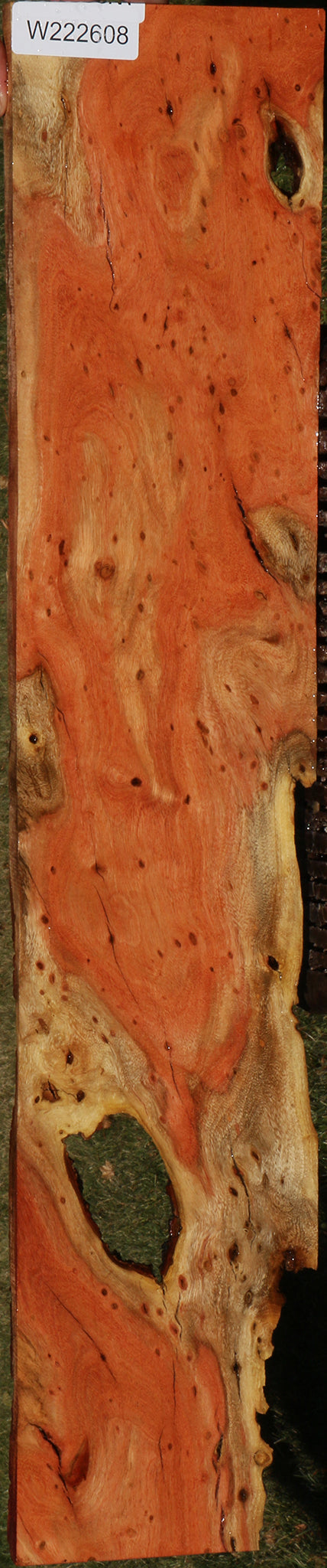 Extra Fancy Carob Live Edge Micro Lumber