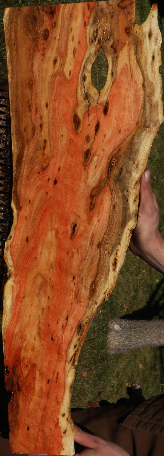 Extra Fancy Carob Live Edge Micro Lumber