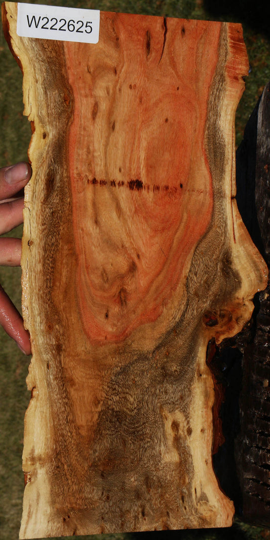 Extra Fancy Carob Live Edge Micro Lumber