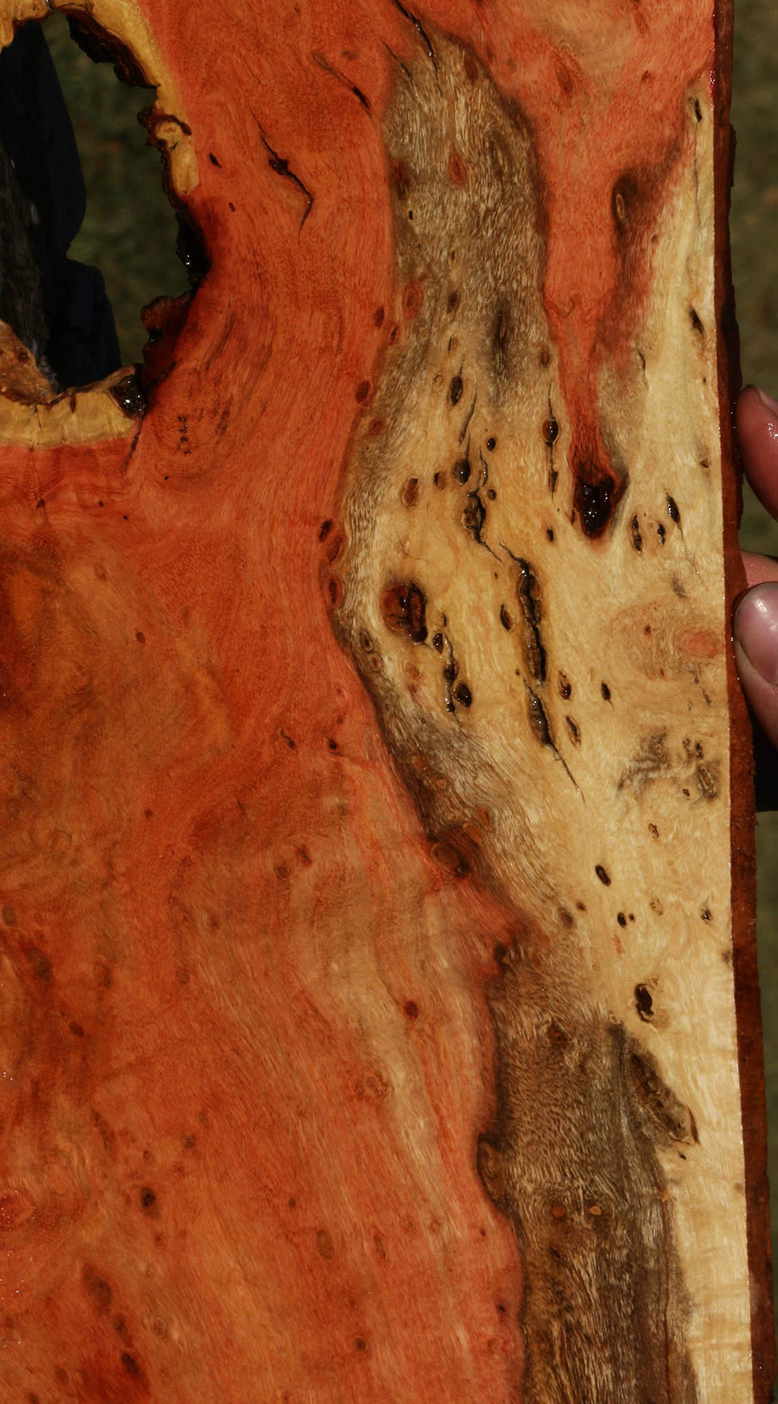 Extra Fancy Rustic Carob Micro Lumber