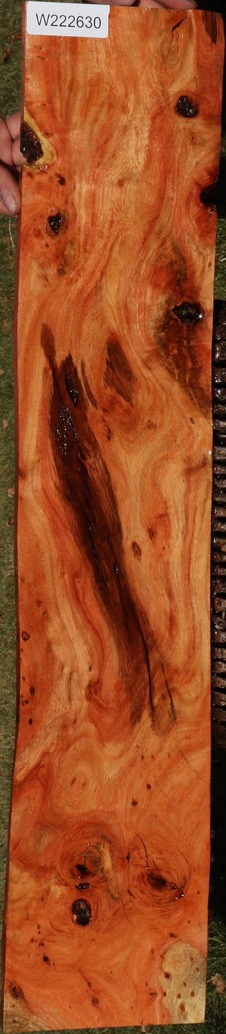 Extra Fancy Carob Micro Lumber