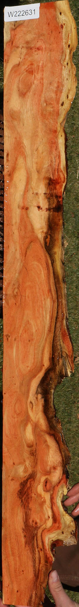 Extra Fancy Carob Live Edge Lumber
