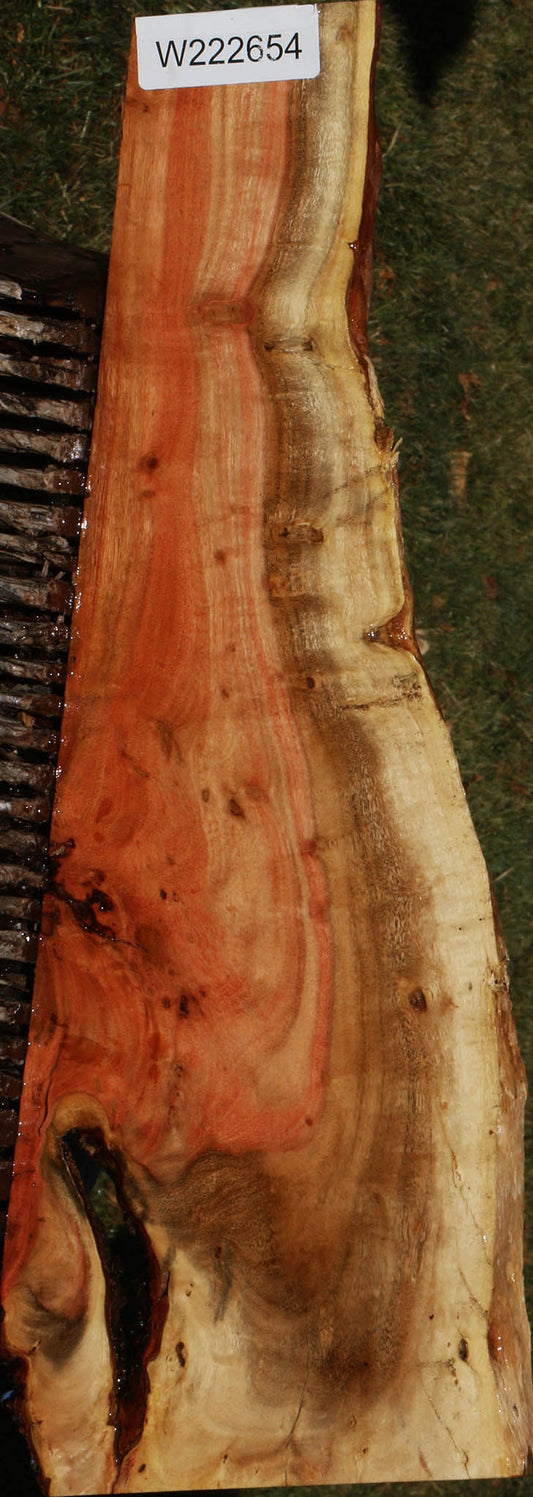 Extra Fancy Carob Live Edge Micro Lumber