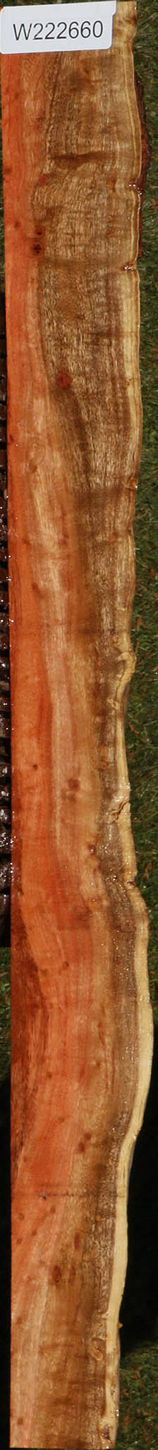 Extra Fancy Carob Live Edge Lumber