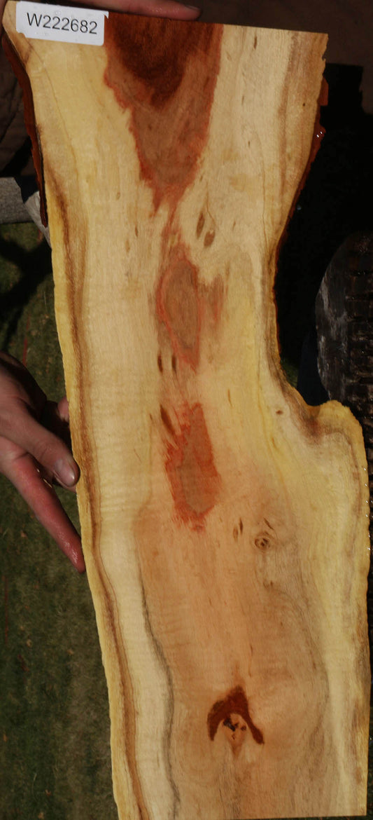 Figured Carob Live Edge Lumber