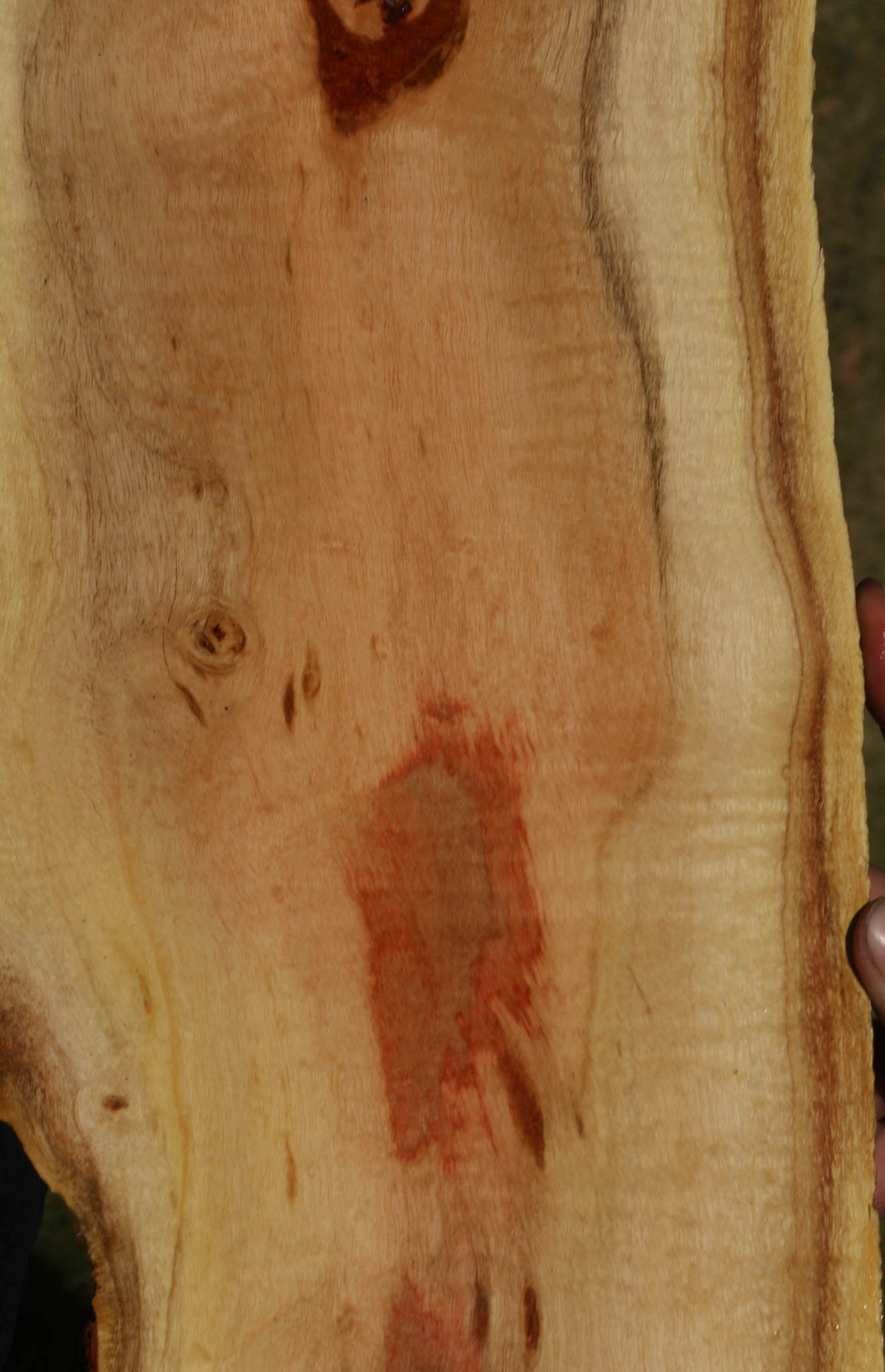 Figured Carob Live Edge Lumber