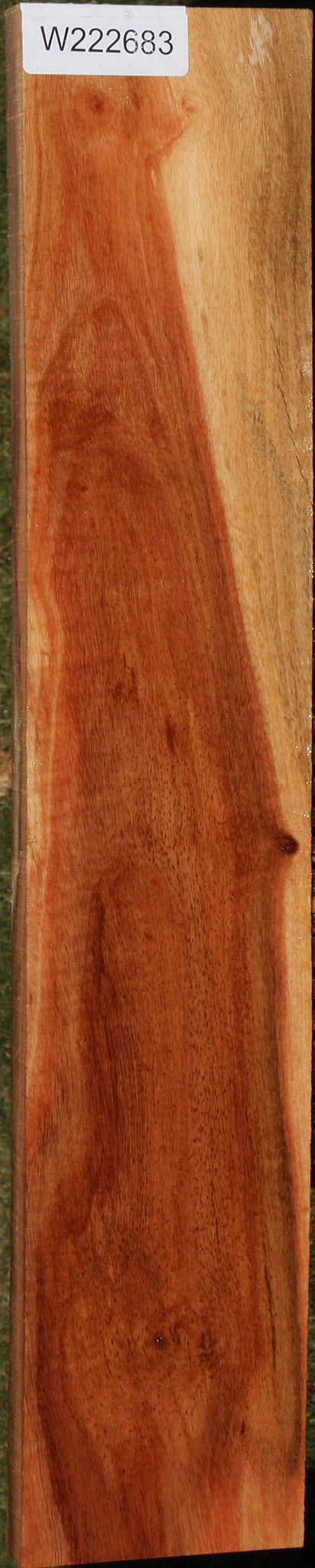 Extra Fancy Carob Lumber