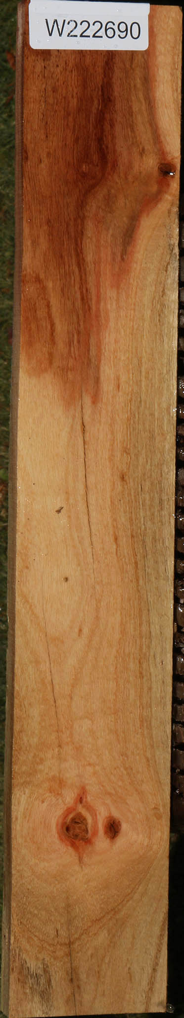Carob Lumber