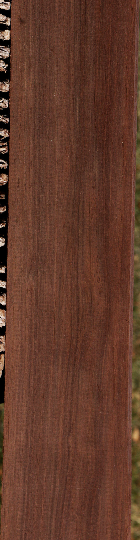 Peruvian Walnut Lumber