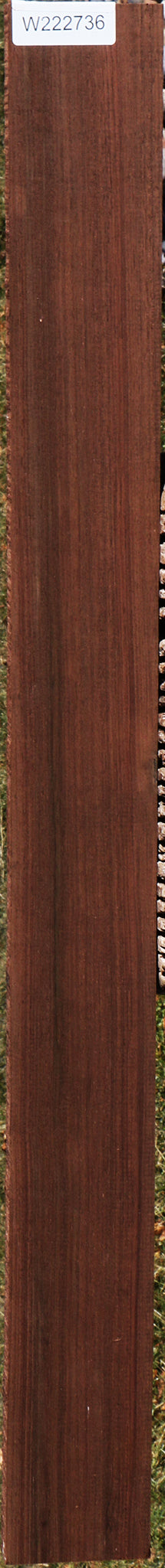 Peruvian Walnut Lumber