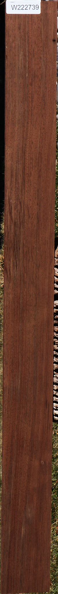 Peruvian Walnut Lumber