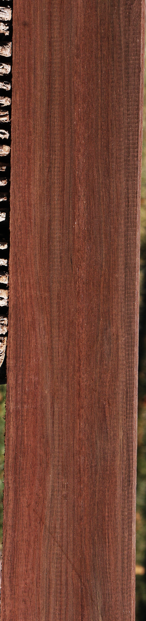 Peruvian Walnut Lumber