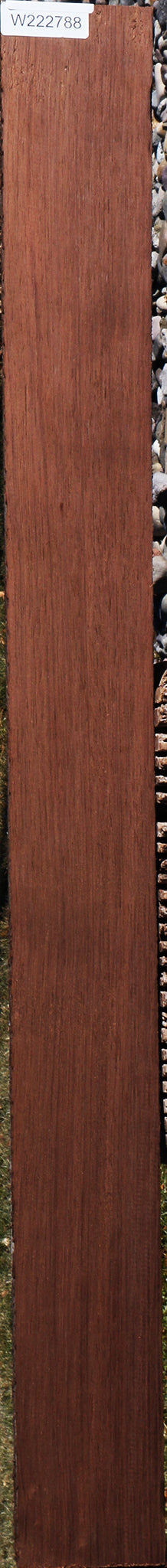 Peruvian Walnut Lumber