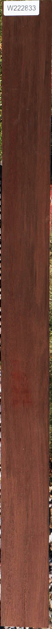 Peruvian Walnut Micro Lumber