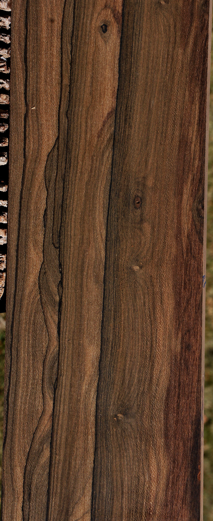 Exhibition Ziricote Lumber