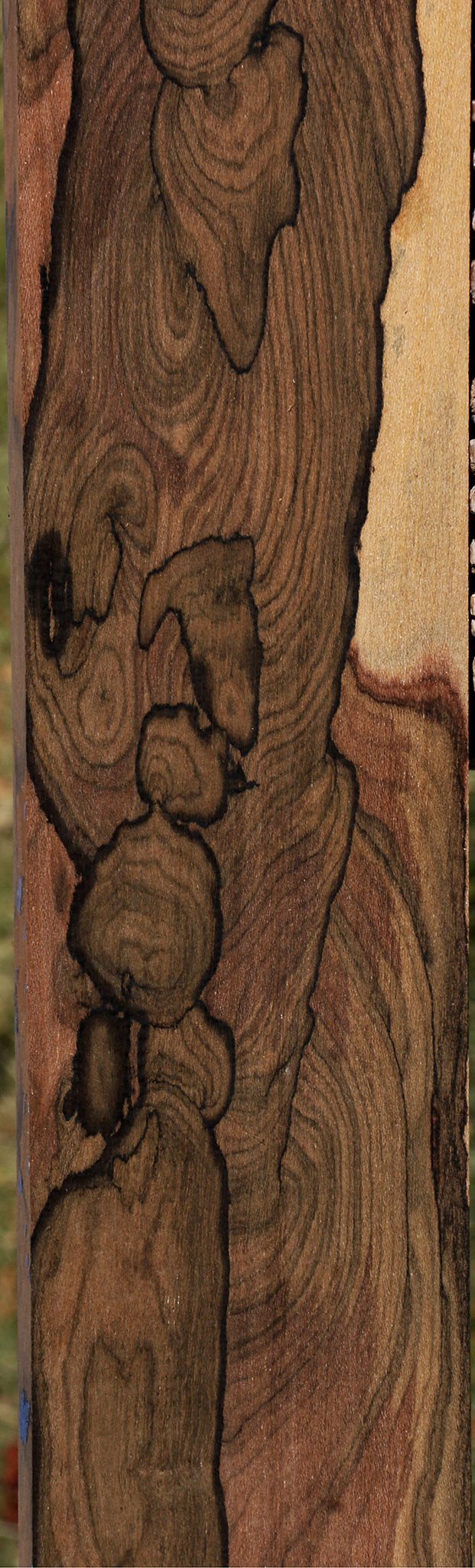 Ziricote Instrument Lumber